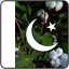 Pak Cotton Commentary Pak Cotton Commentary